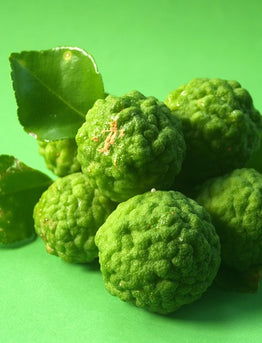 14.The B List: Herbs and Spices that heal - BERGAMOT